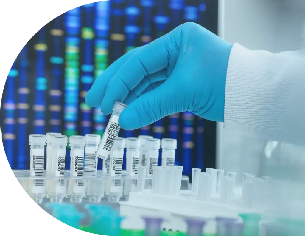 Testing Vials On Rack